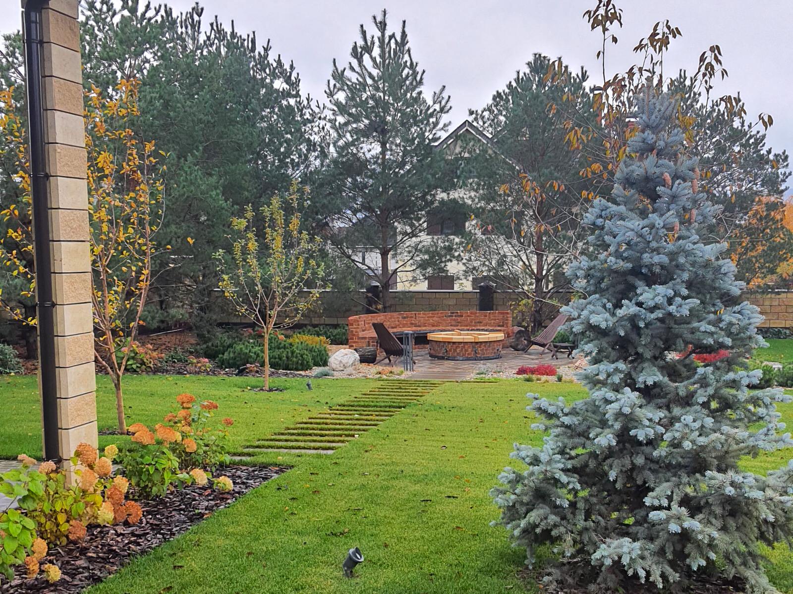 Сад с розами