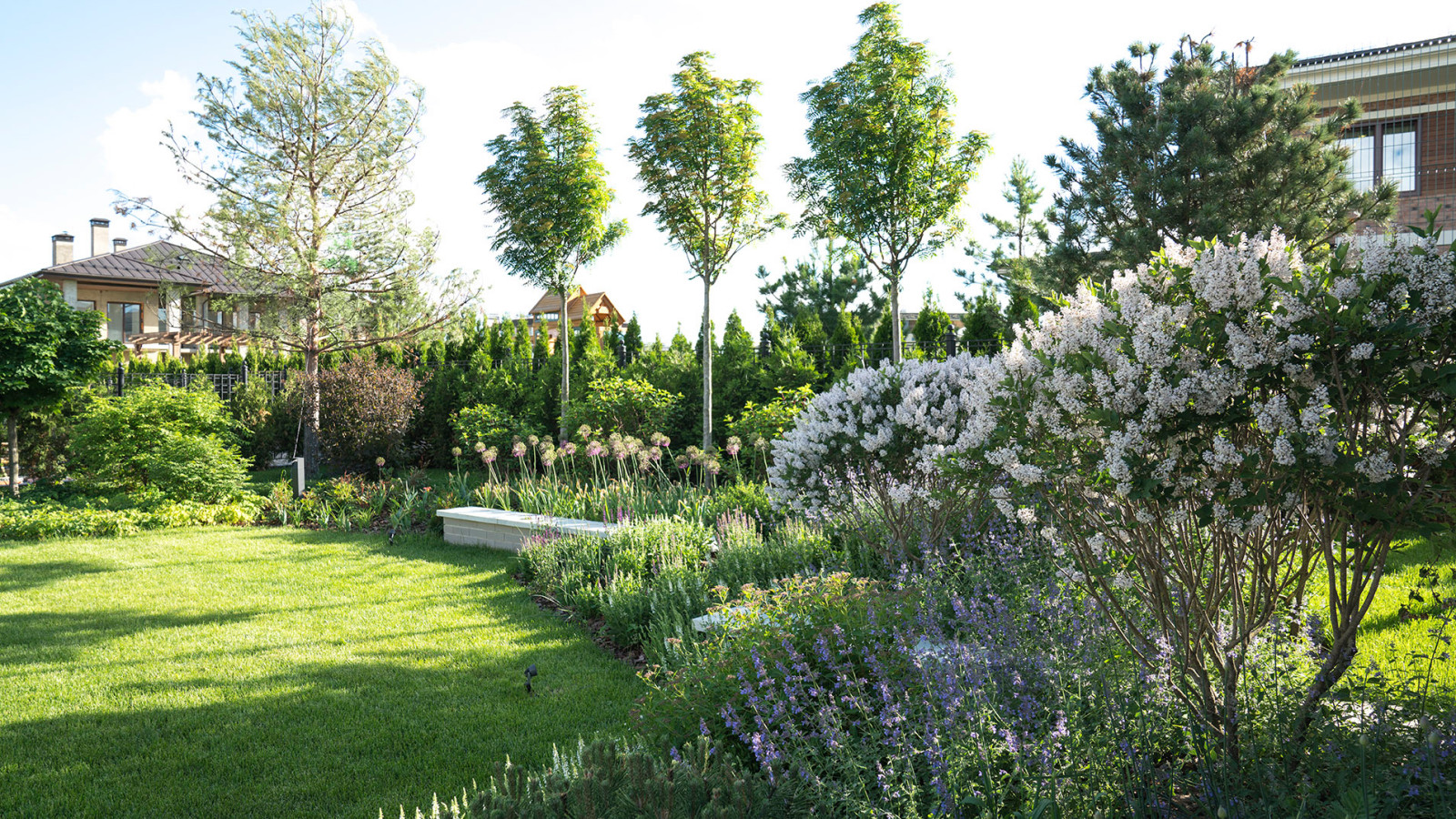 Игра контрастов. Миллениум Парк 2018 г.