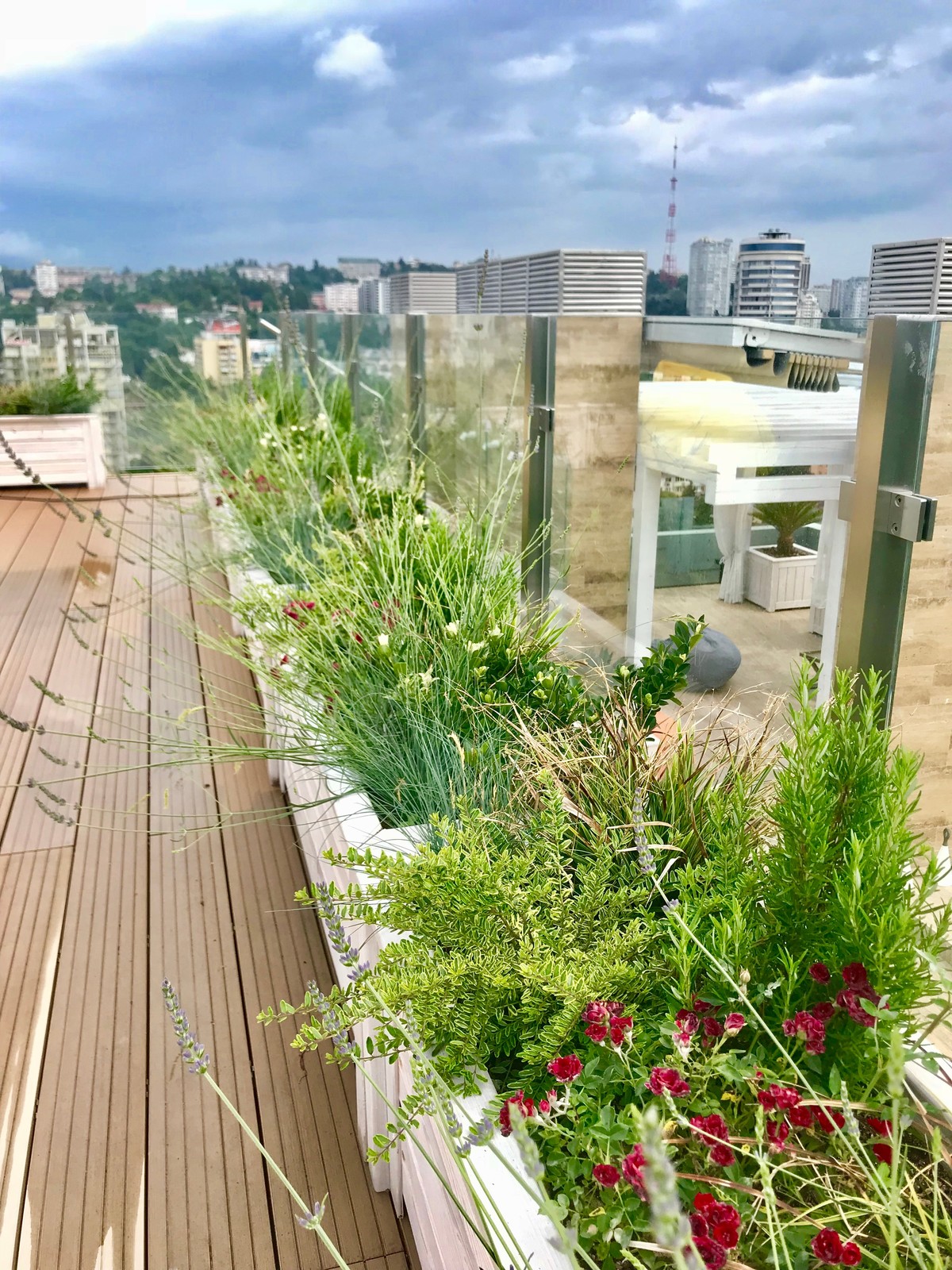 Пентхаус в Сочи