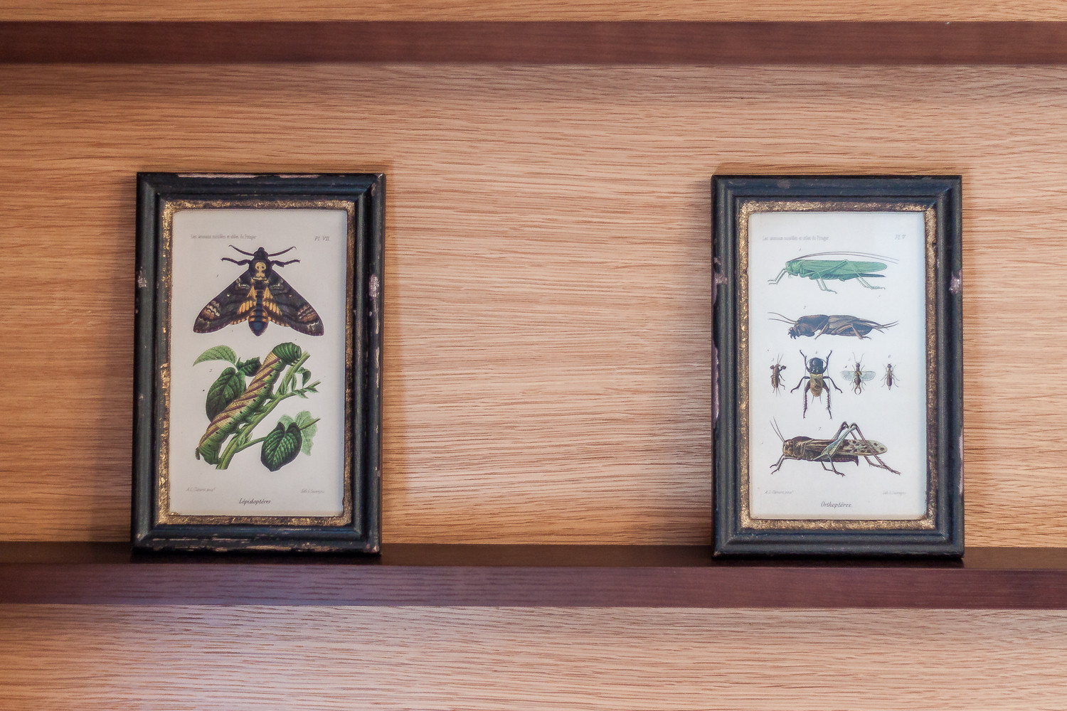 Современная классика