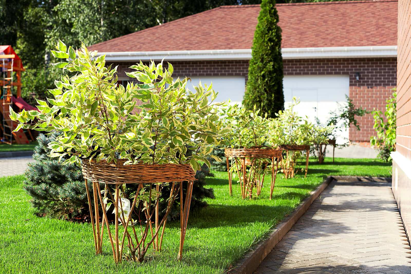 Вавиловец 1