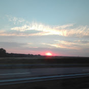 никита лаевский