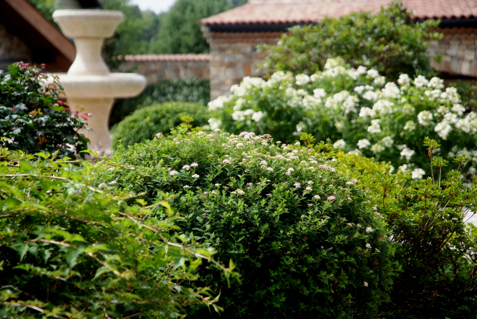 Итальянский сад в КП Европа 2013 г