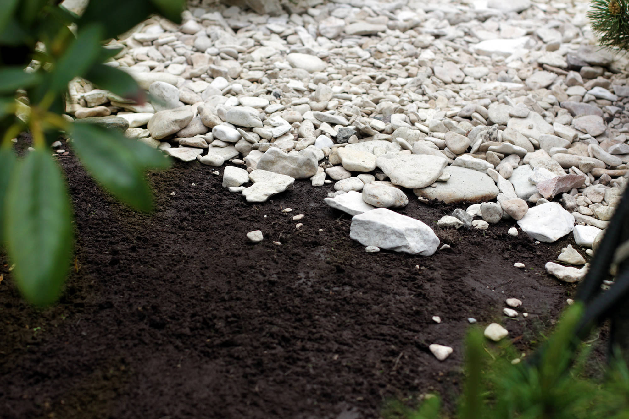 Работа над ошибками: Что пошло не так на клумбе