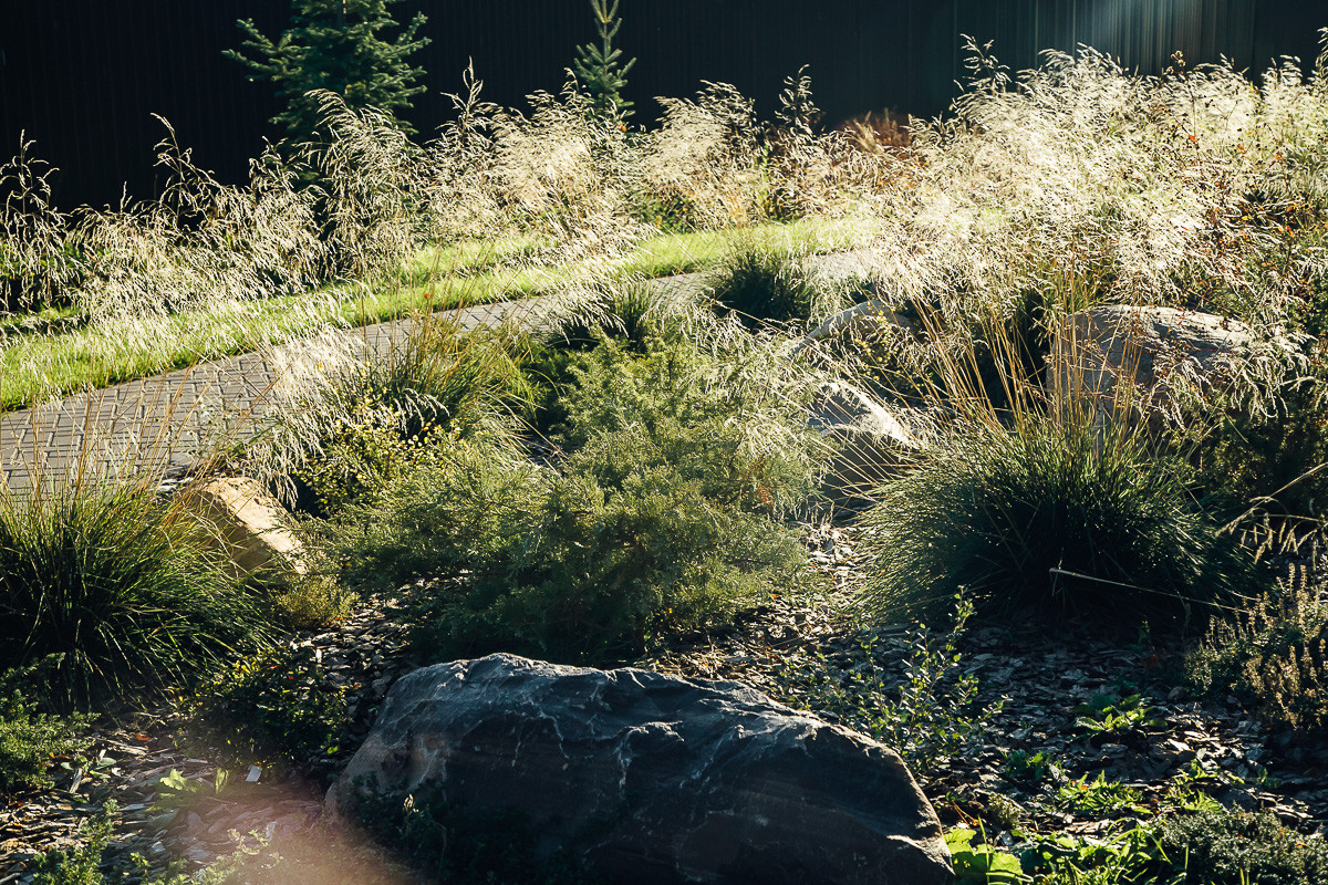 Русские Забавы