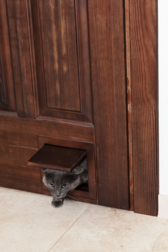 Оттенки дерева