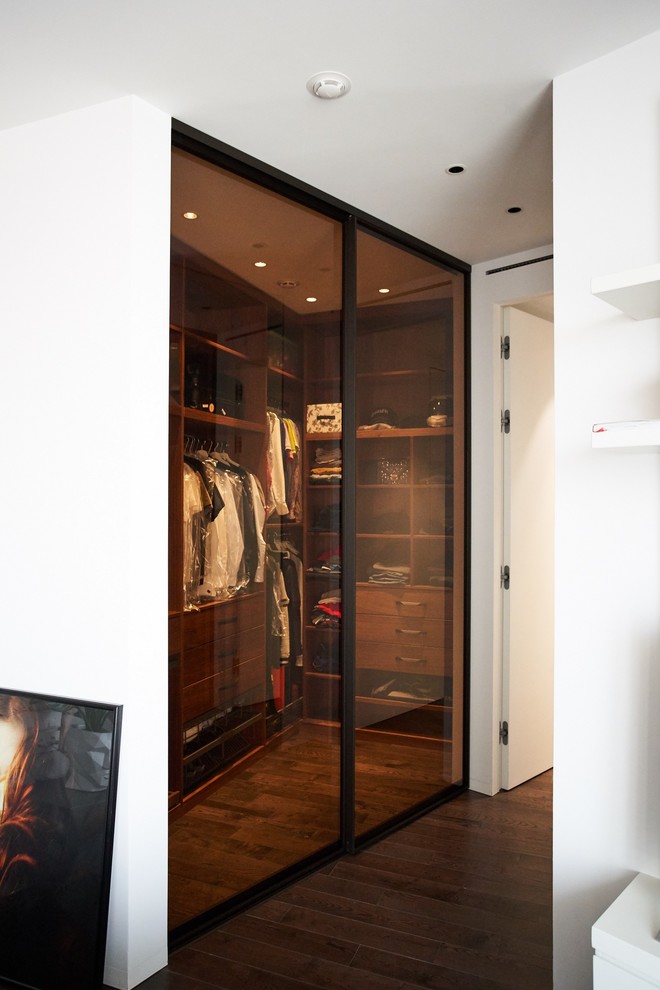 Раздвижные двери S1200 raumplus темная бронза для гардеробной