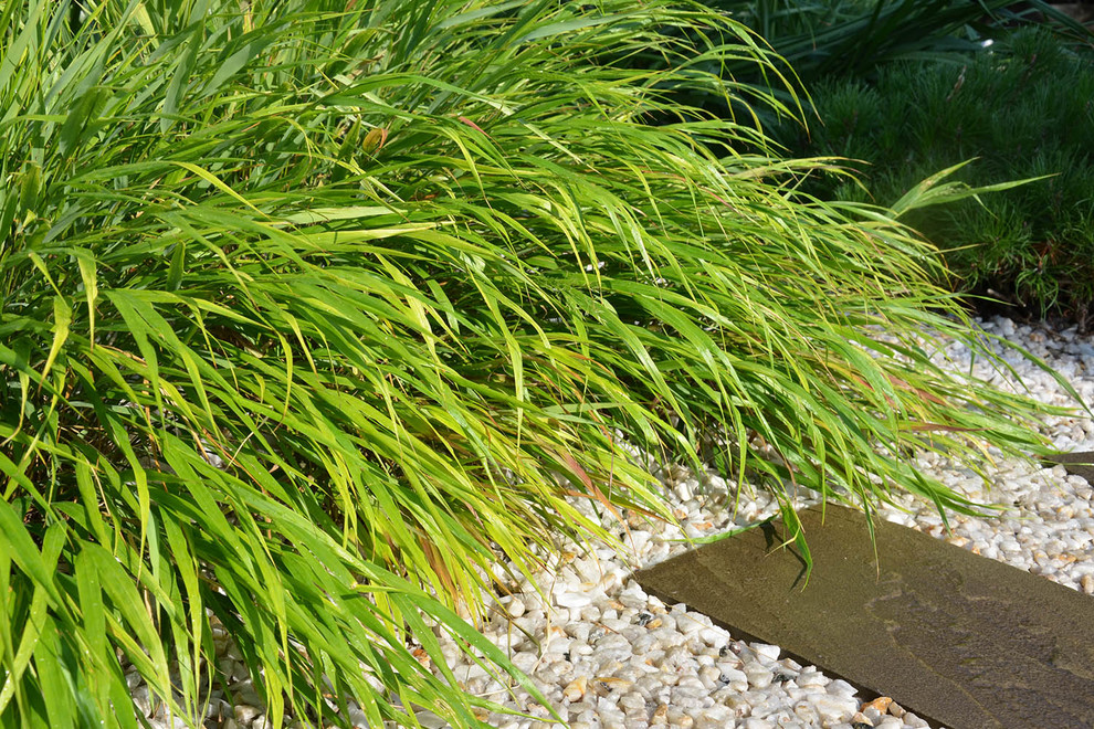 Современный сад в КП "Бенилюкс" вилла 2