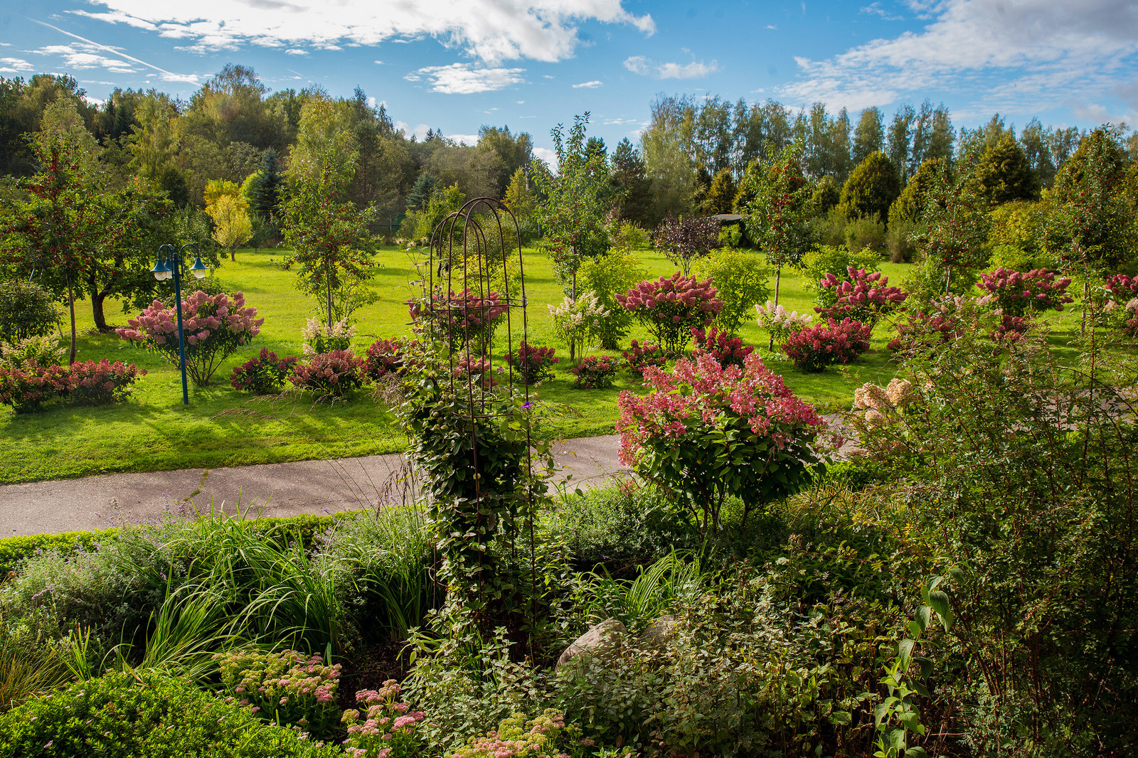 Парк в  Шаховском районе