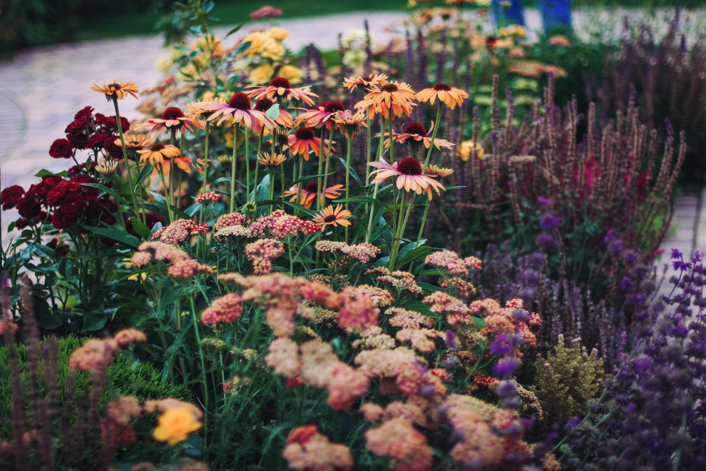 Обложка проекта: Вита Верде