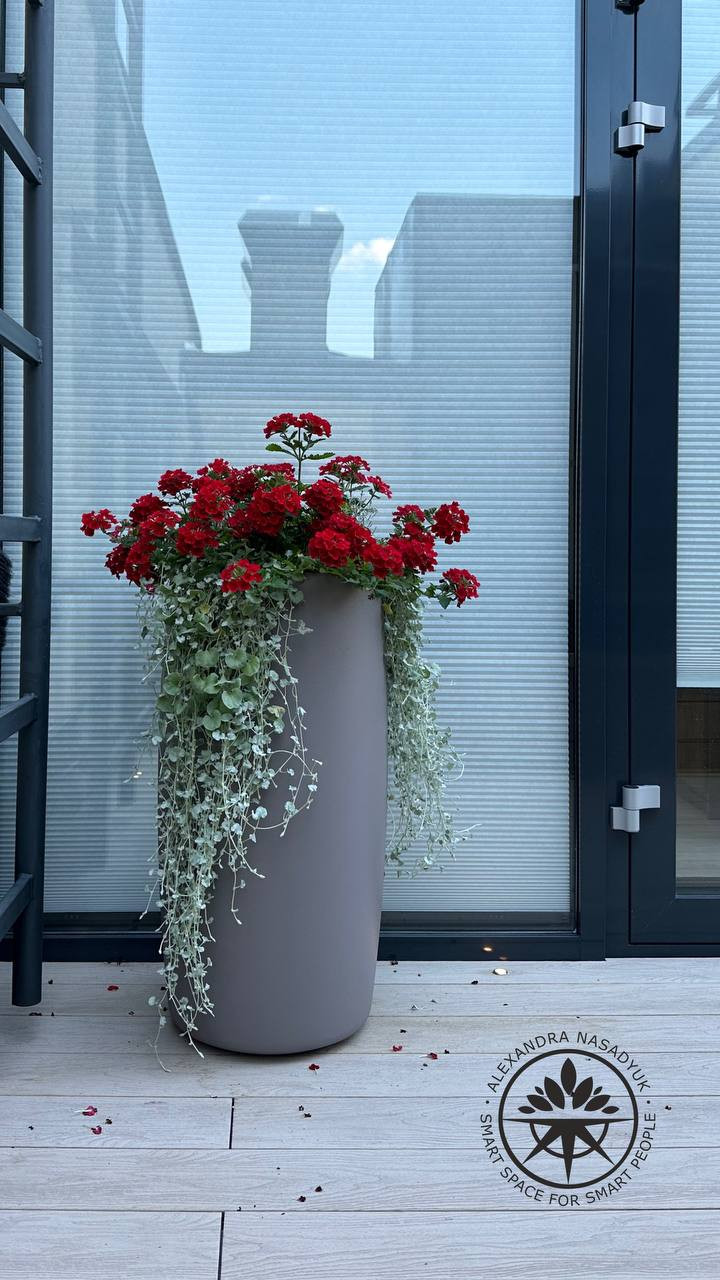 Обложка проекта: Сад с мужским характером