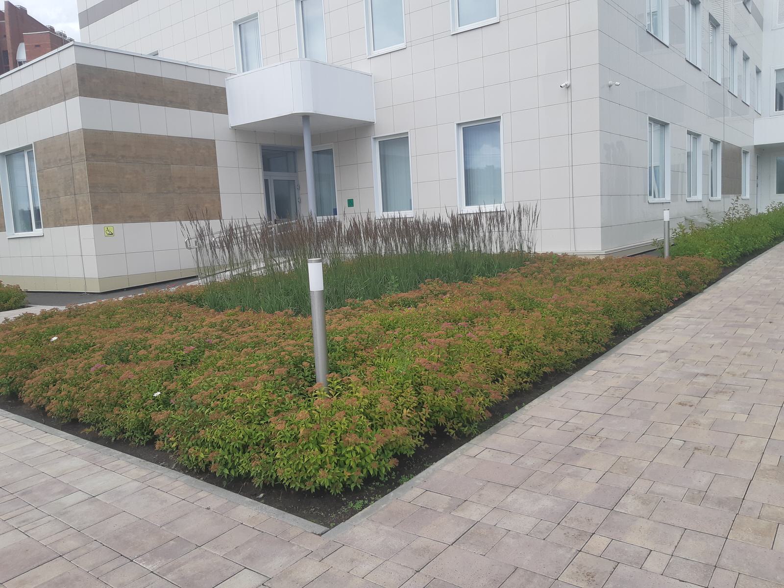 Парк Здоровье