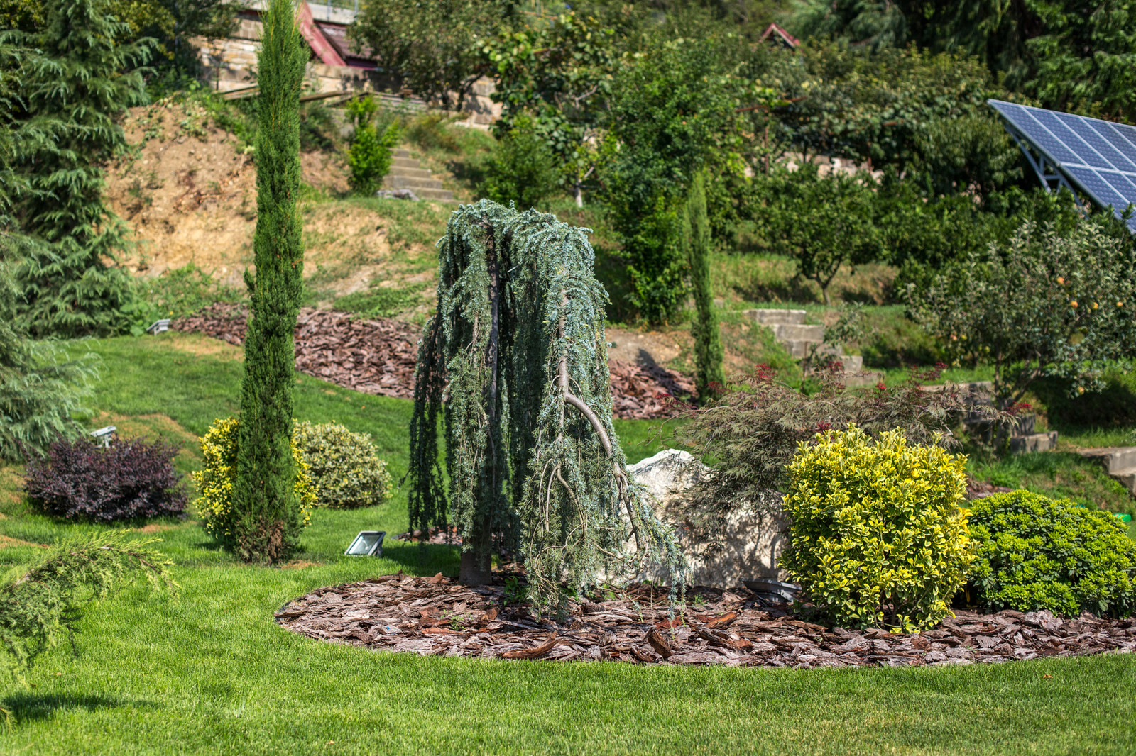 Ландшафтный Дизайн Олимпийский Сочи