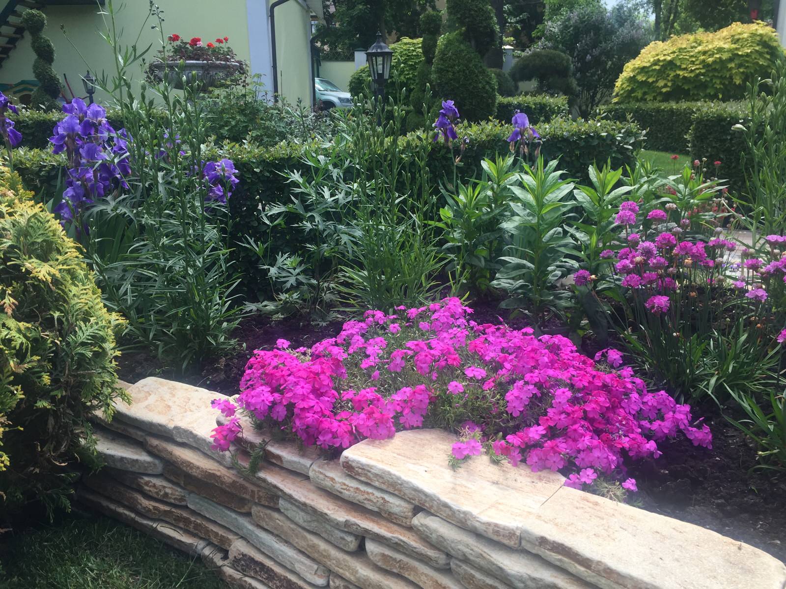 Живописный цветник