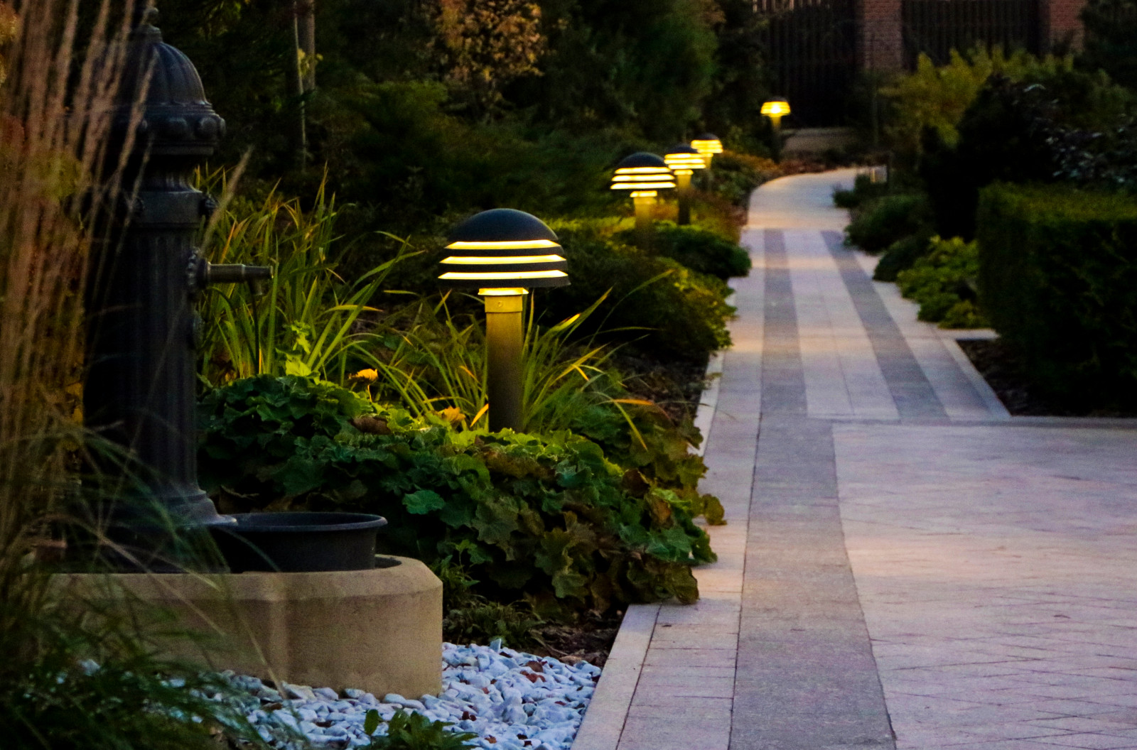 Обложка проекта: Горки-10, ночной сад, 2017-2020 гг.