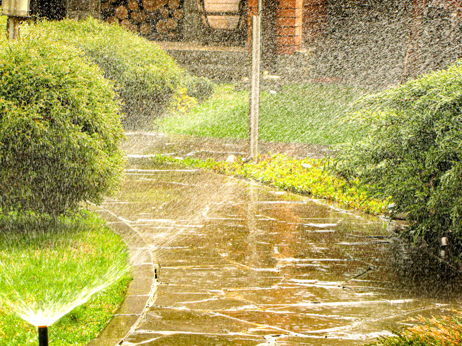 Обустройство участка в Приморском районе, Санкт-Петербурга