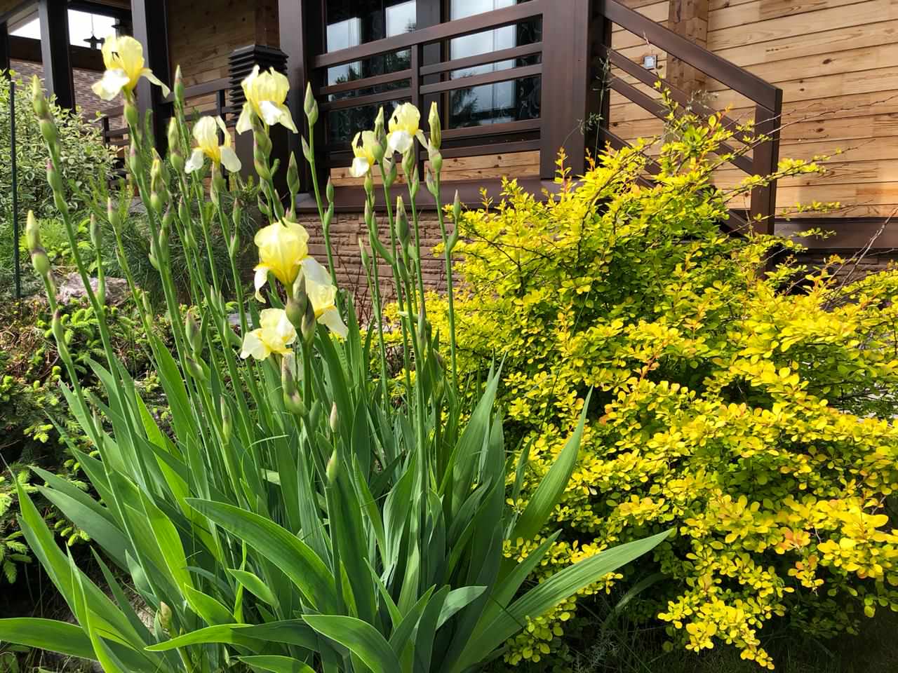 Медведково