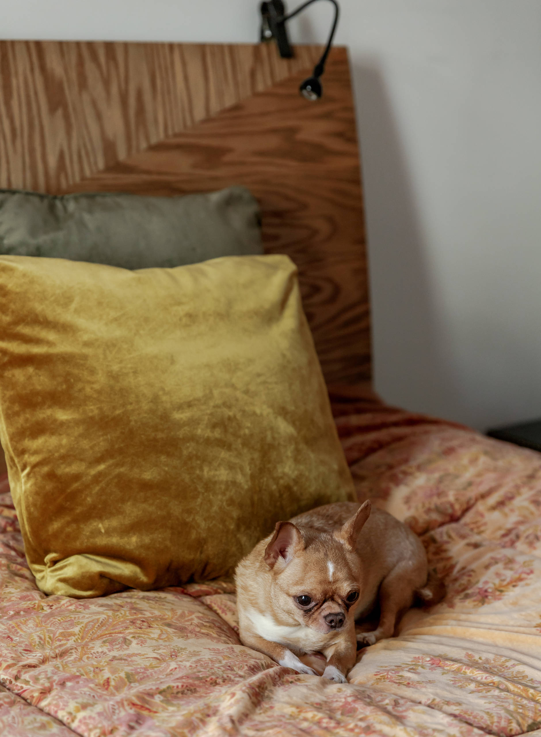 В гостях: Квартира на Патриарших, где всё восстановили