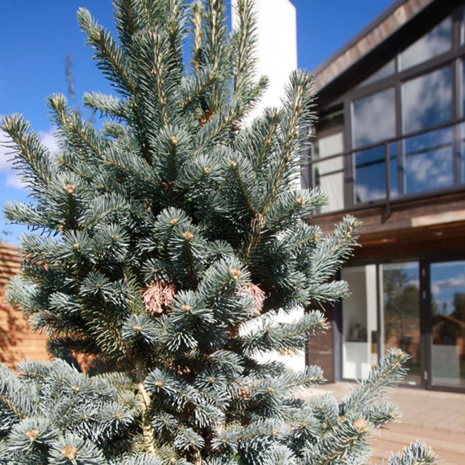 Жилой дом в Подмосковье
