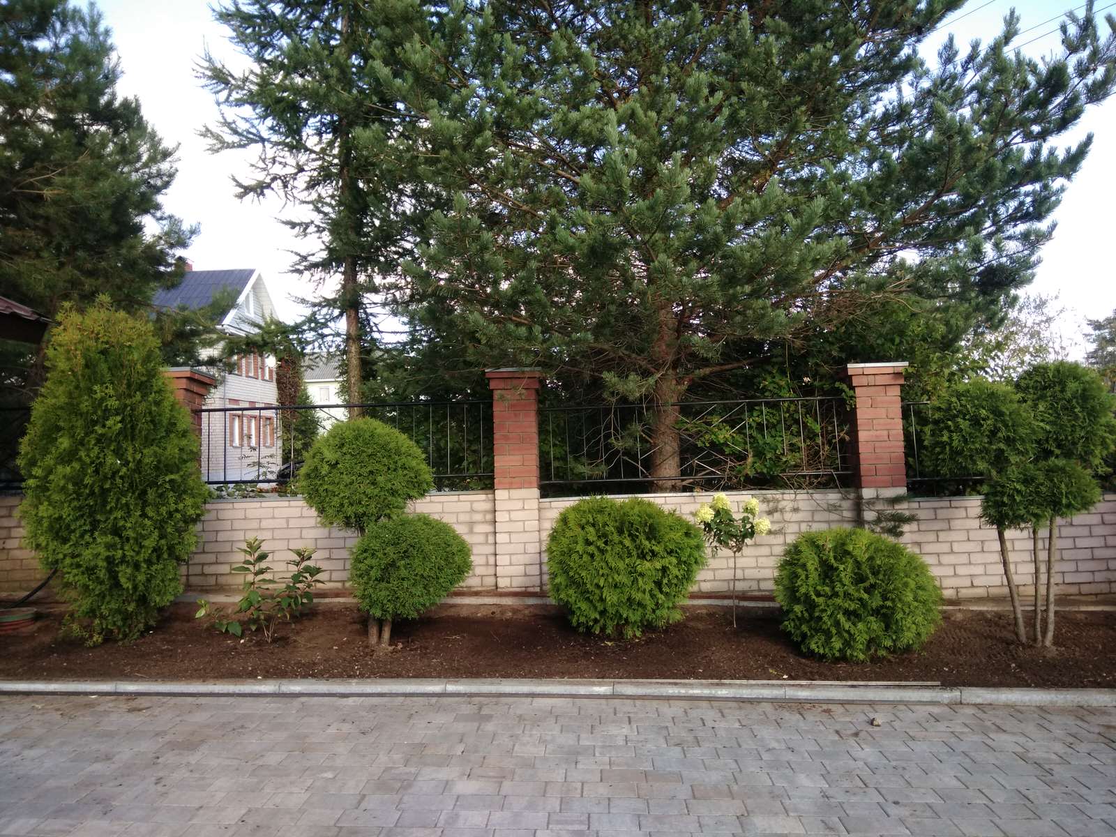 Ольга Мальцева