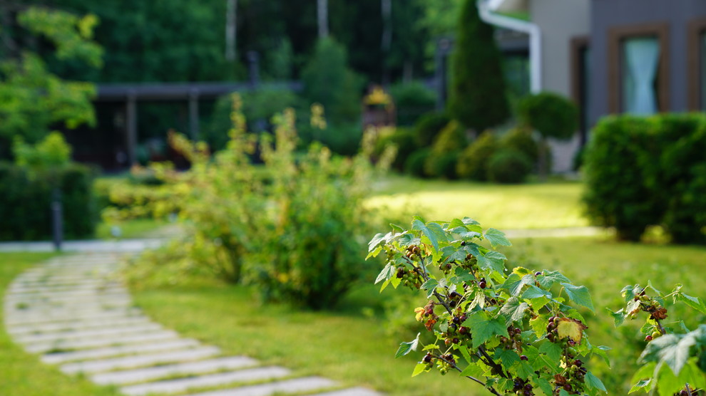 Вспоминая Нормандию КП Визендорф 2017 г