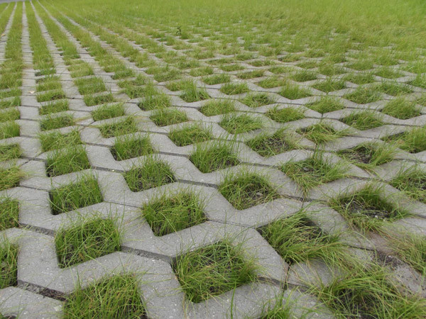 СОВРЕМЕННЫЕ АВТОСТОЯНКИ  из ГАЗОНОВ КАНАДА ГРИН!