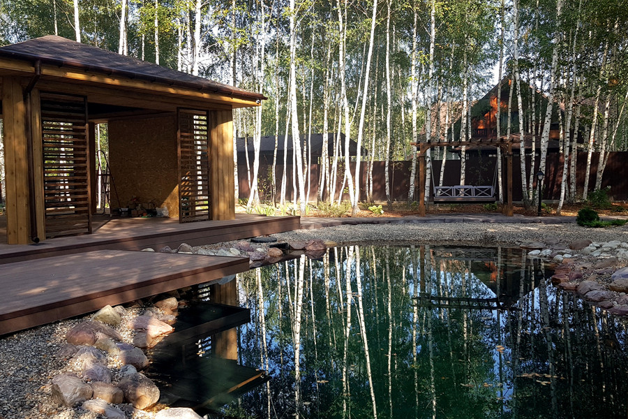 Пруд и берёзы