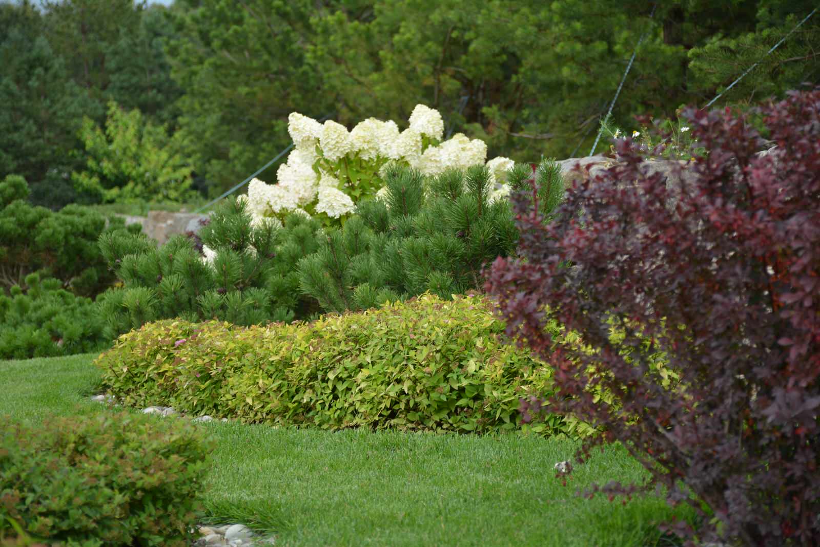 Ново-Николино