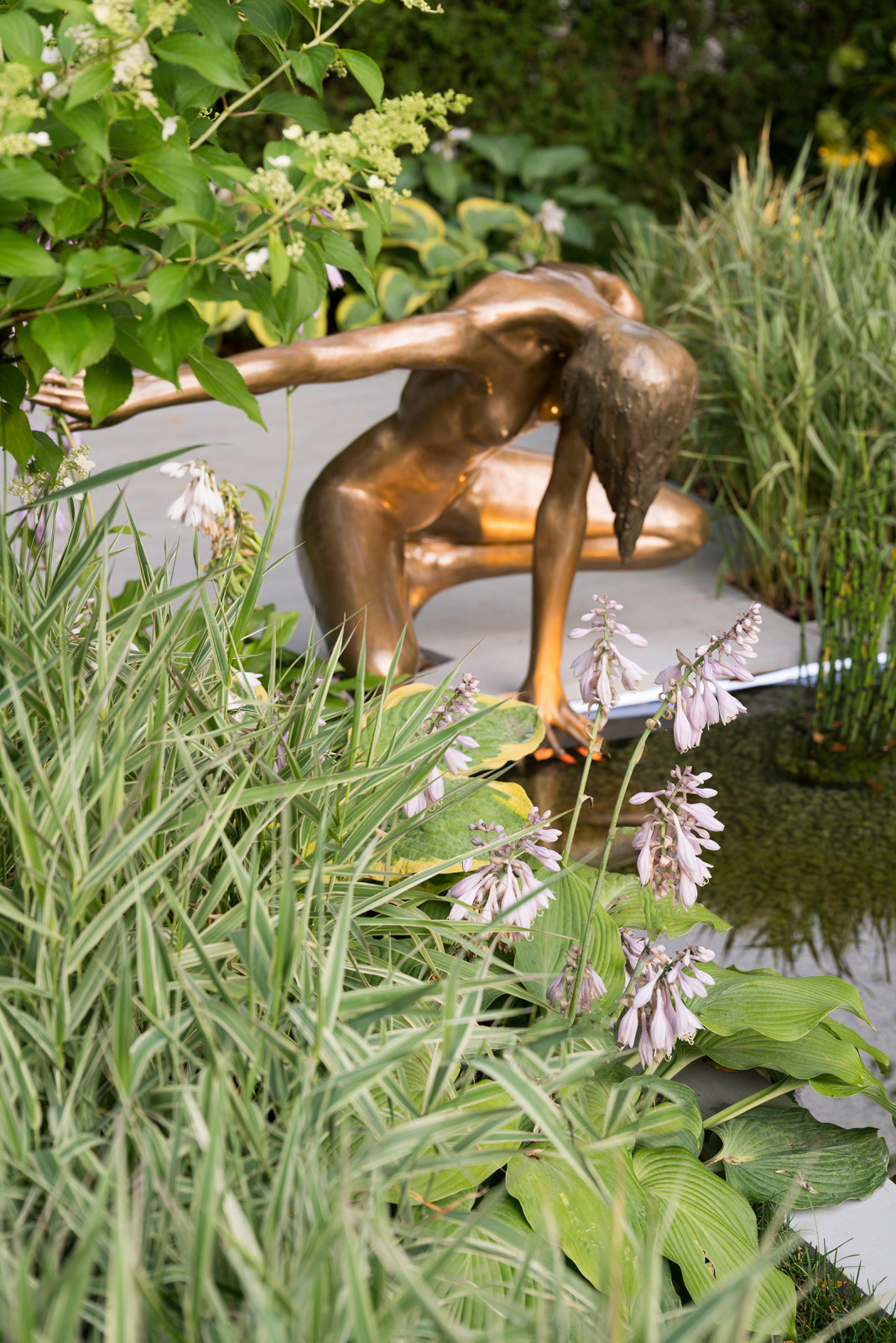 Сад Оксаны Хебородовой Гран-При на Москоу Флауер Шоу ( "Cад Вячеслава Зайцева")