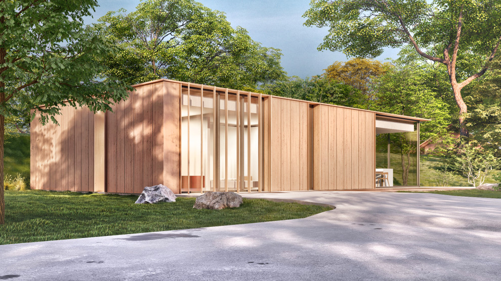 Зарождение