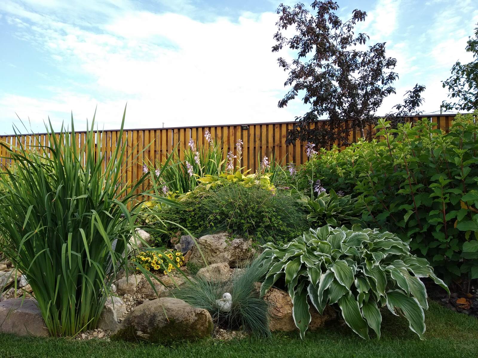 Садовый минимализм