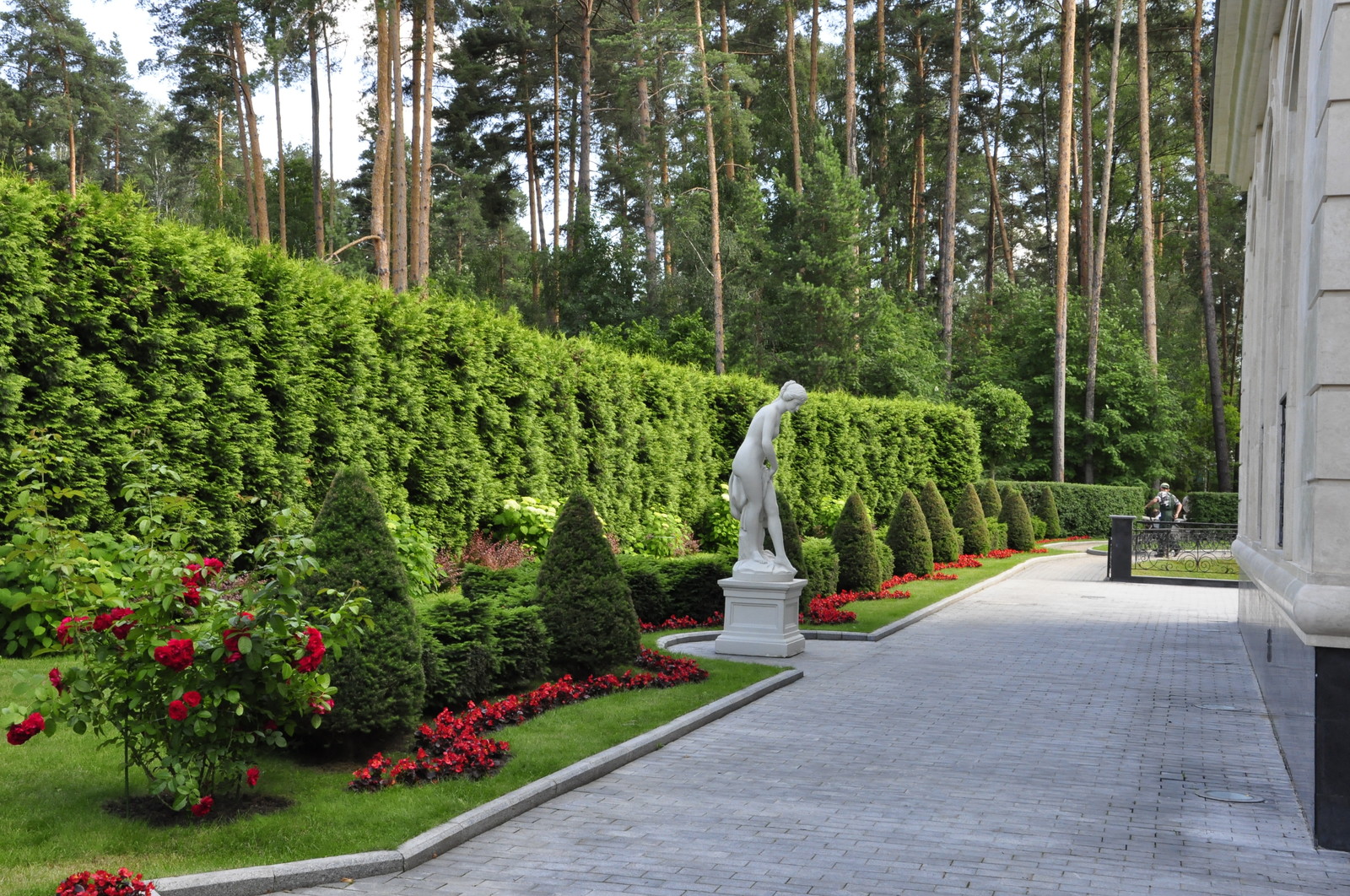 Как правильно: Выбрать деревья для будущего сада