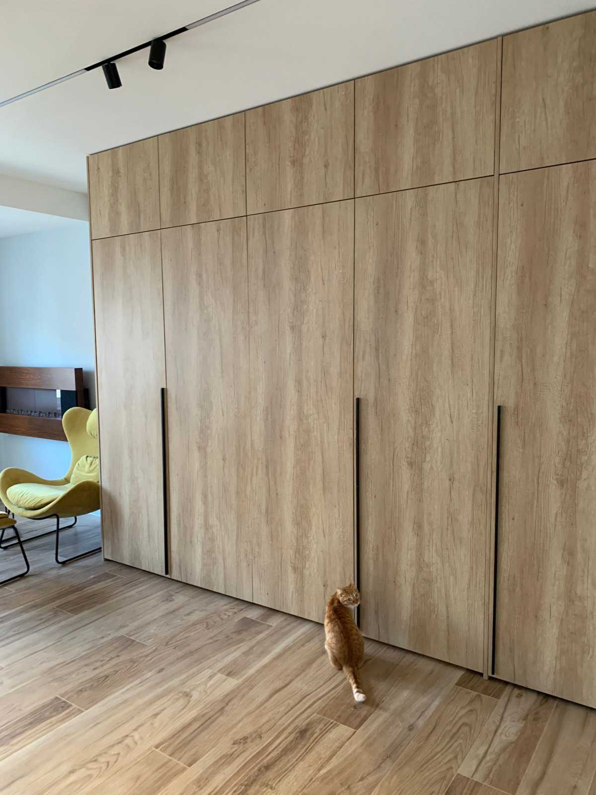 Обложка проекта: ЖК Чертановская