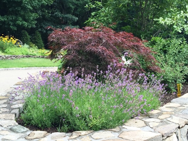 Инна Скрылева