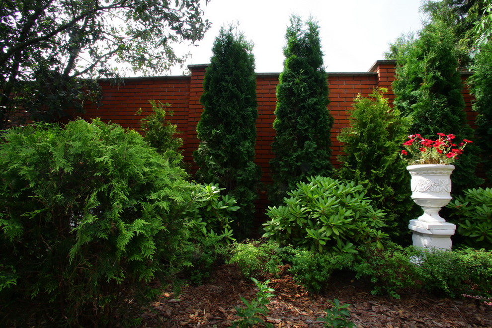 Ильинка. Реконструкция сада