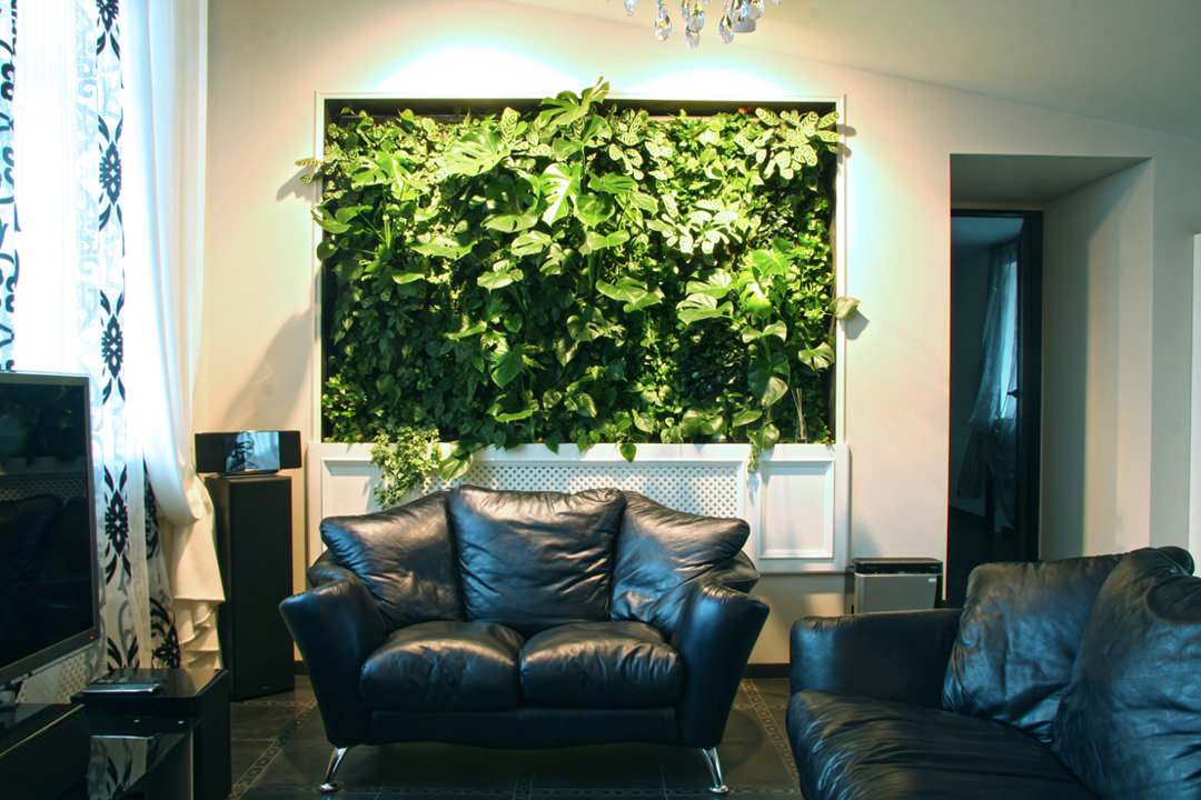 Обложка проекта: Фитостена в доме, поселок Лахта, Санкт-Петербург