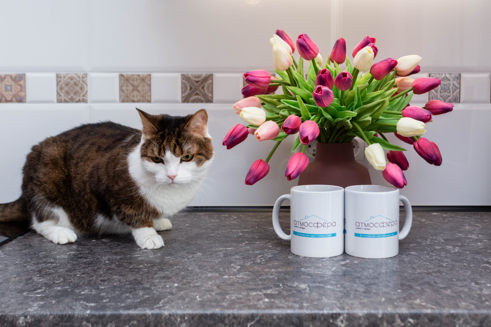 Кухня с котом