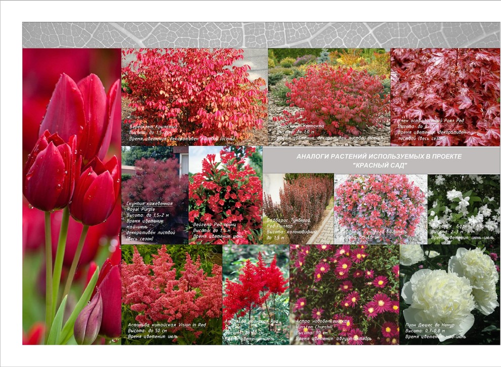 Тематический парк для проведения торжеств (ресторанный комплекс)