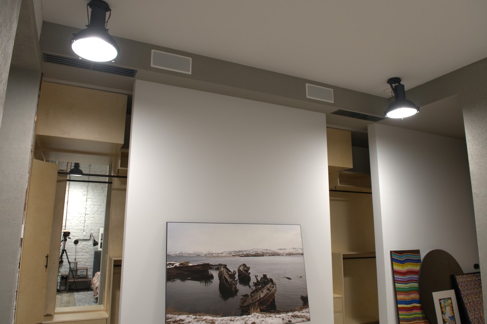 Мультирум в лофте