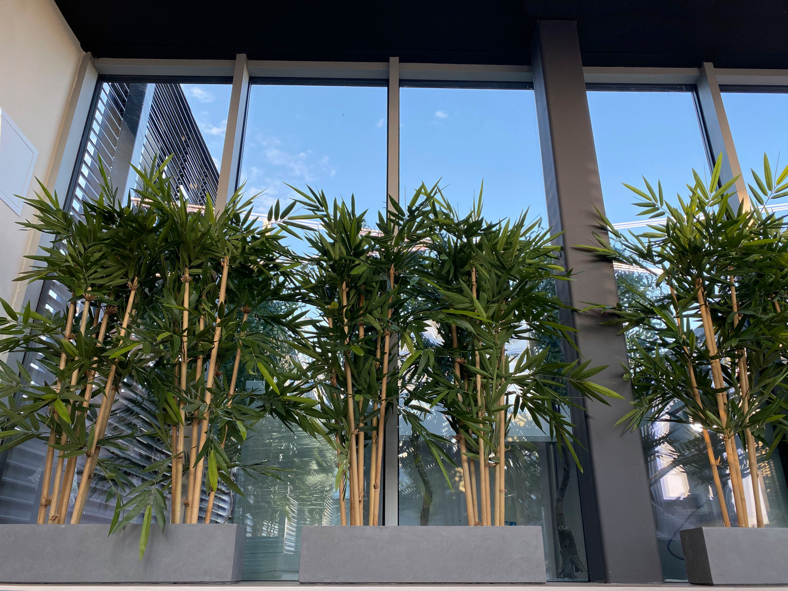 Обложка проекта: Искусственный бамбук