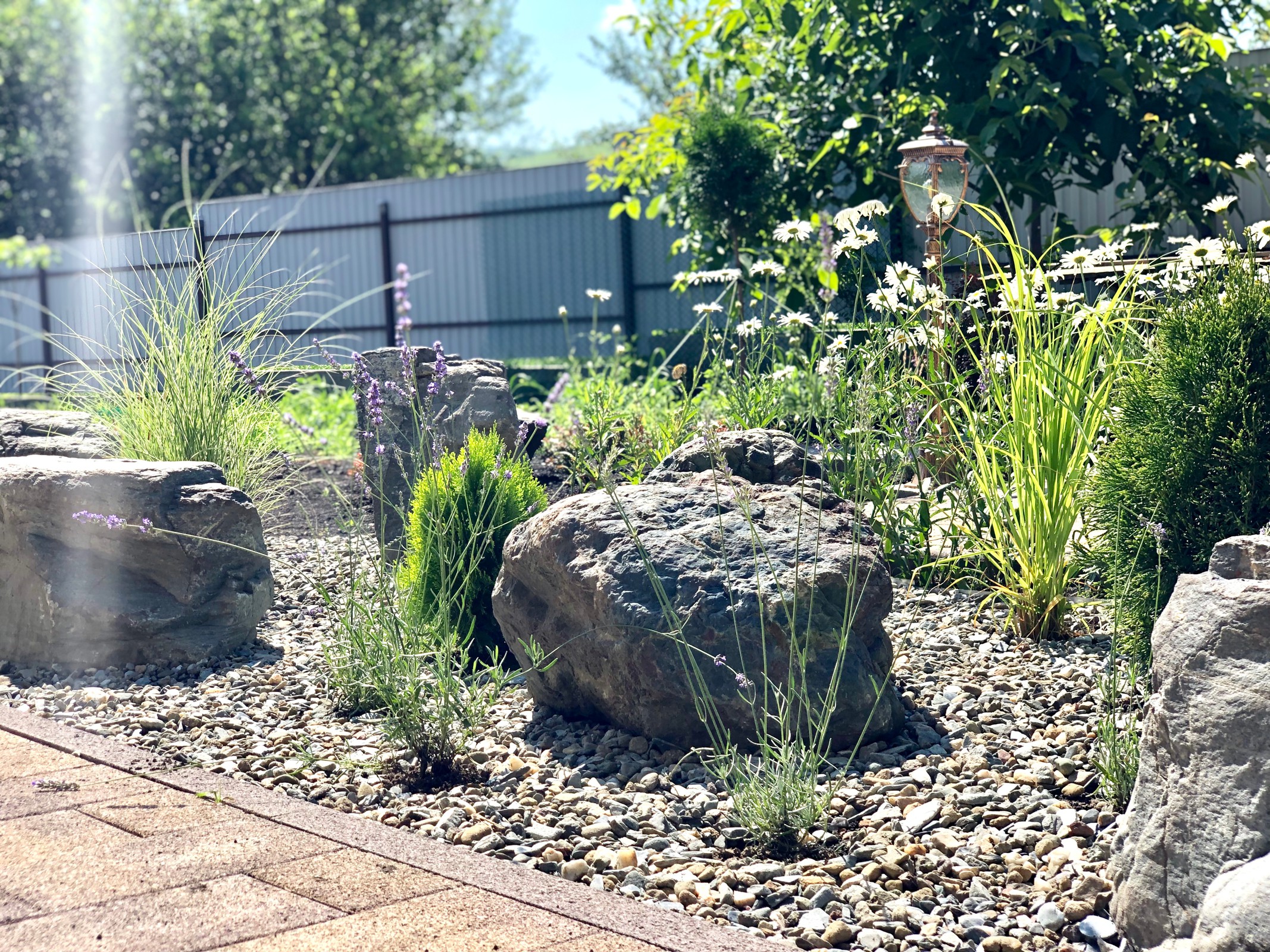 Привет, станица!