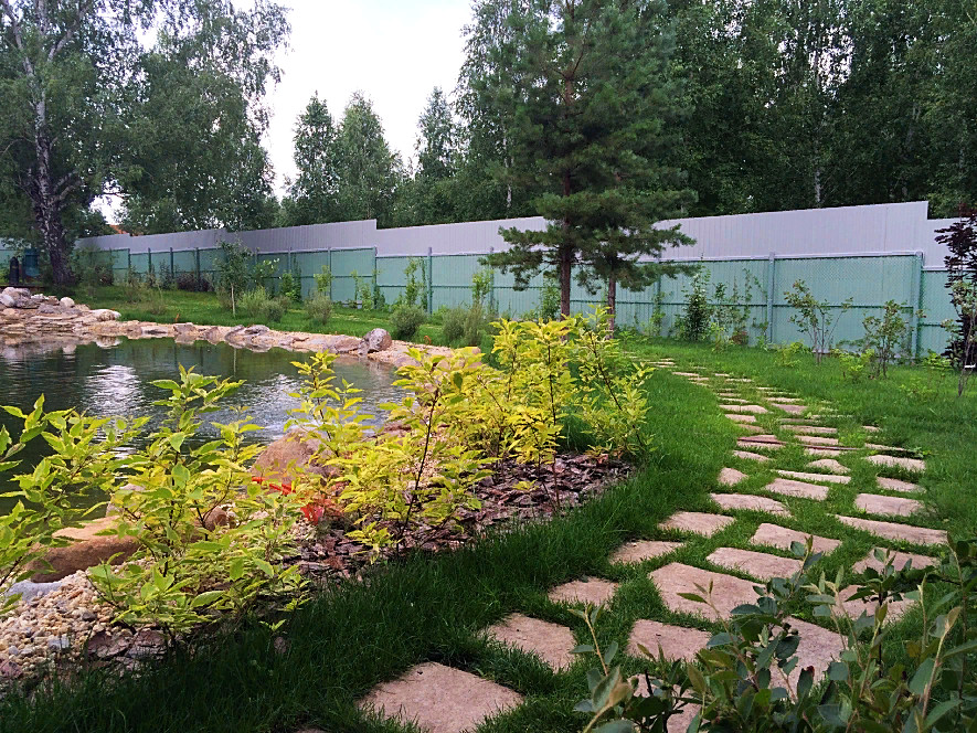 Обложка проекта: Вавиловец