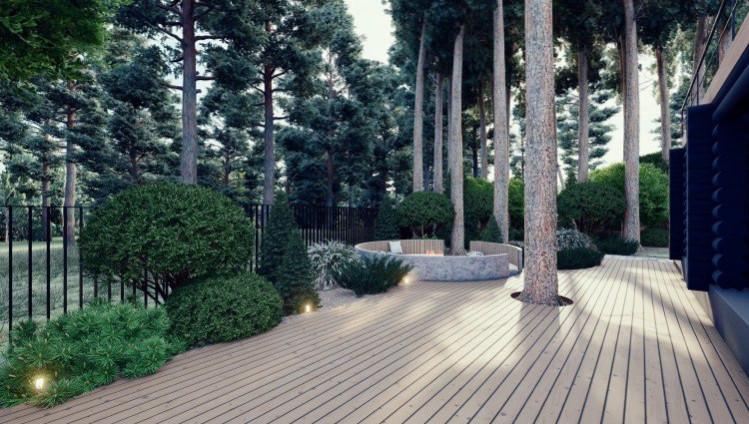 Ландшафт. Лесная погулка