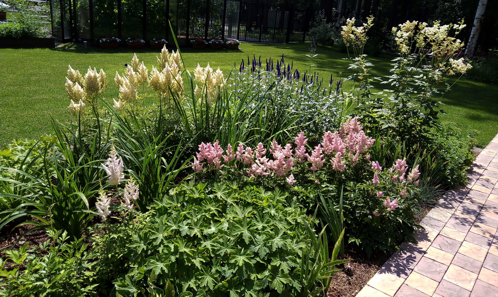 Цветники под пологом леса