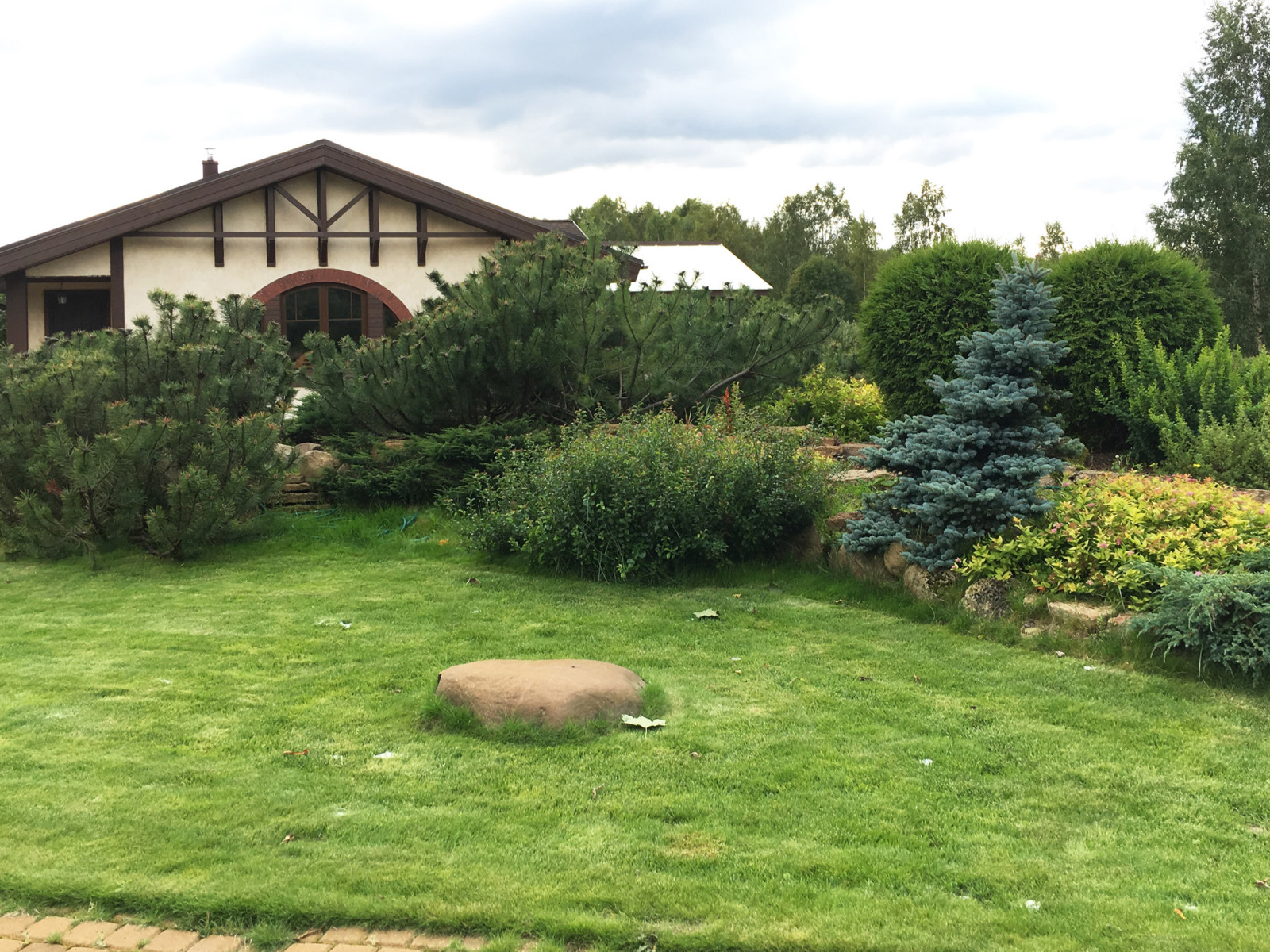 Обложка проекта: Овсяное