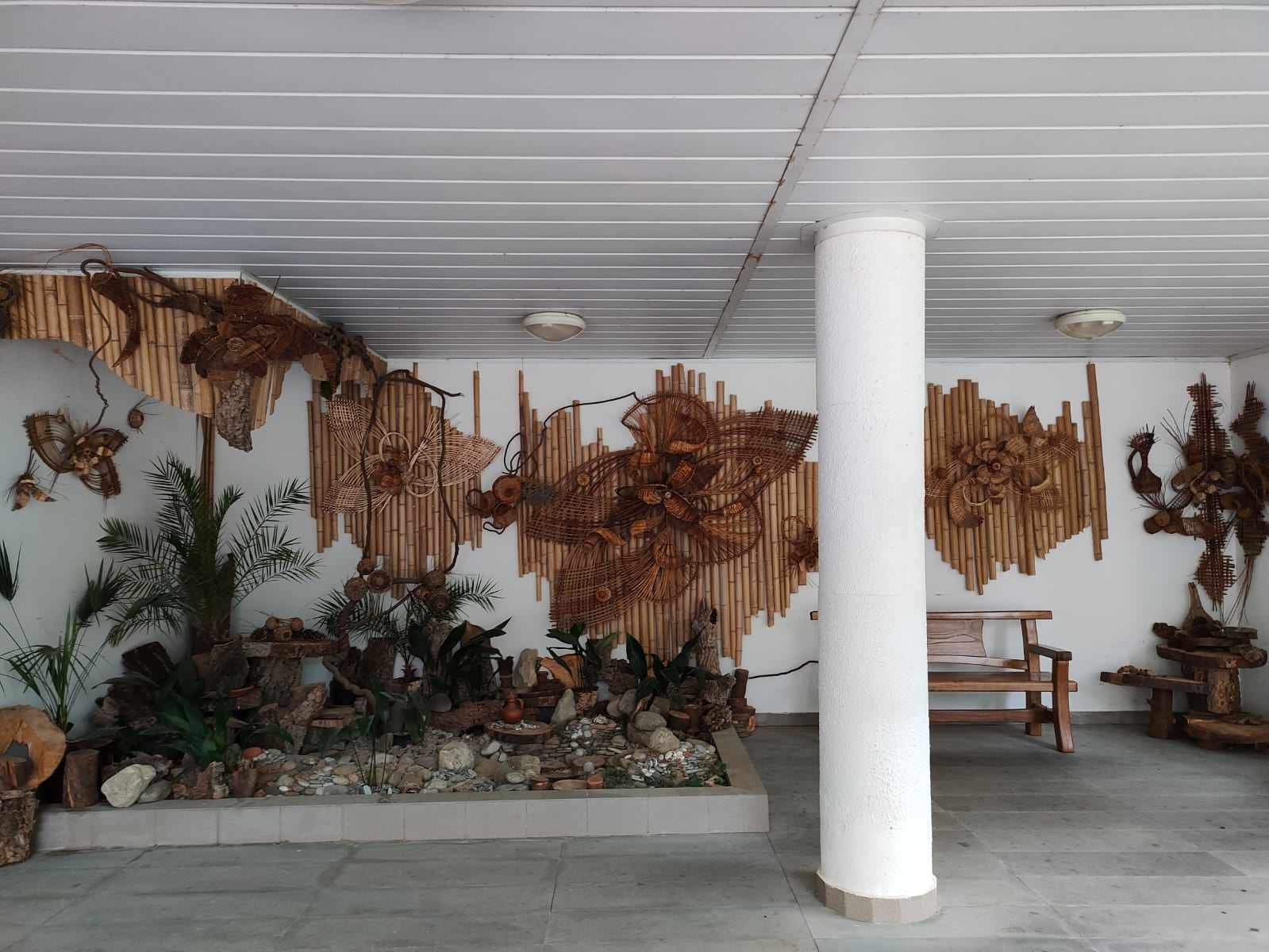 Дендрарий г. Сочи