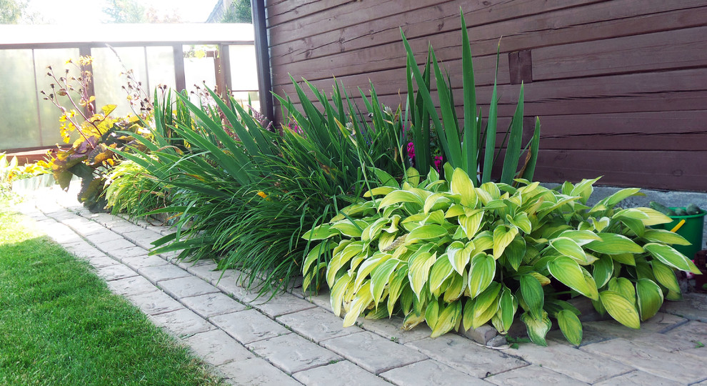 Цветники и композиции