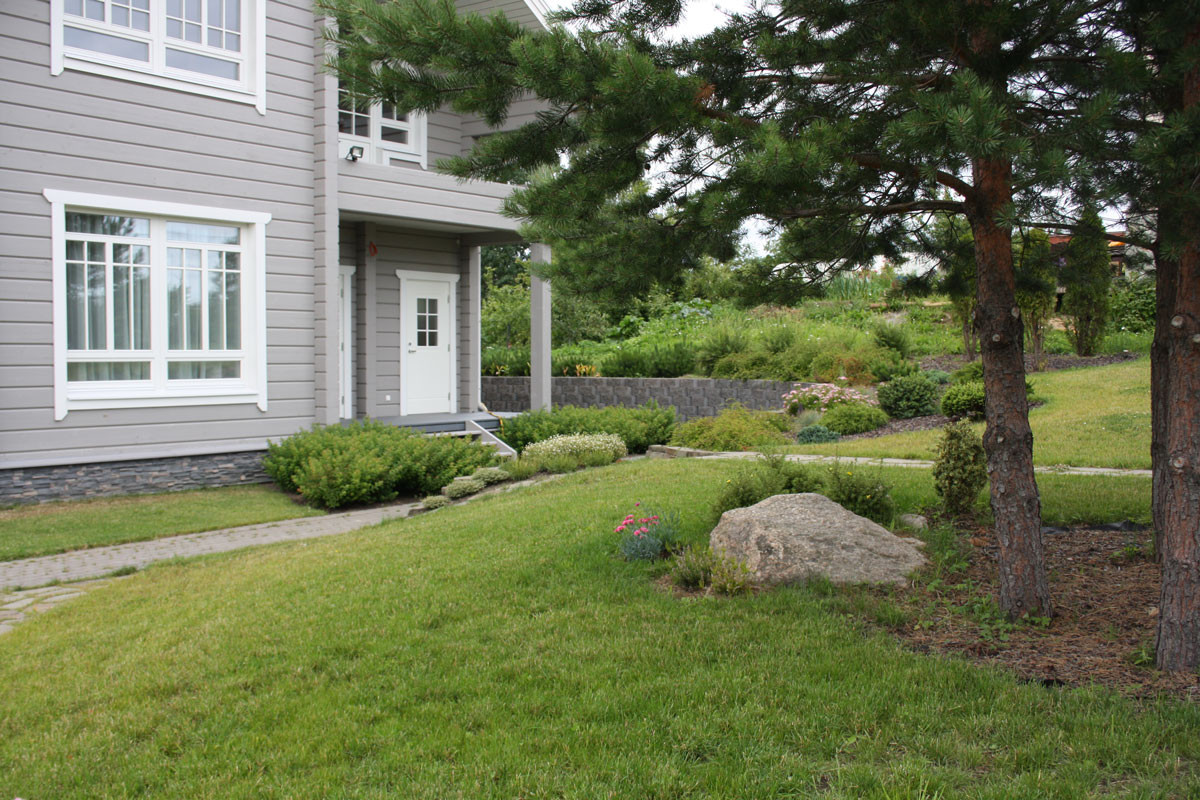 Новое Токсово 1