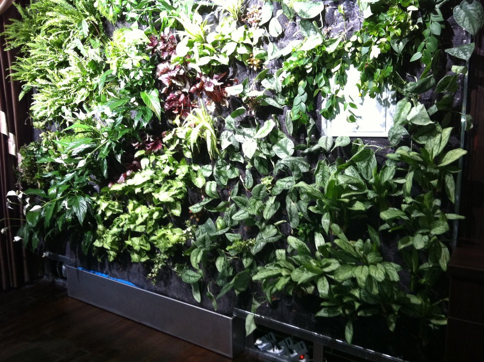 Вертикальные сады