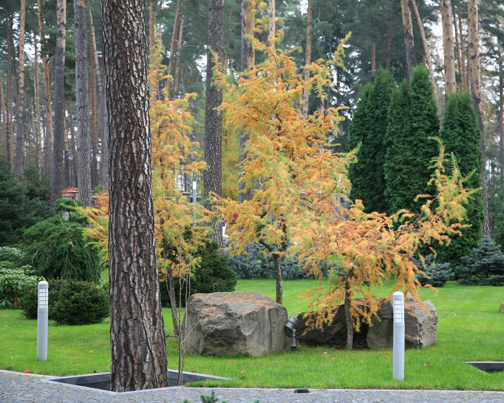 В закладки: Быстрорастущие деревья и кустарники